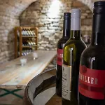 Max Maison d'hôtes Valtice