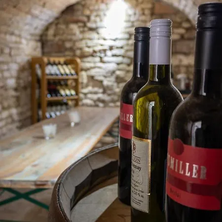 Max Maison d'hôtes Valtice