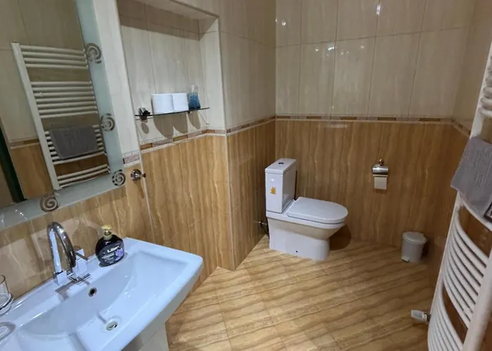 Max Guest house 3*